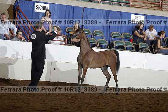 Proof Number 10r12_8389