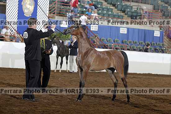 Proof Number 10r12_8393