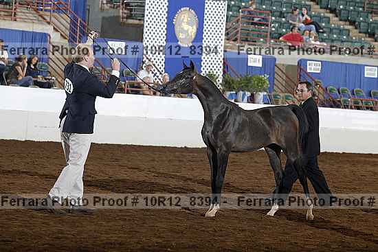 Proof Number 10r12_8394