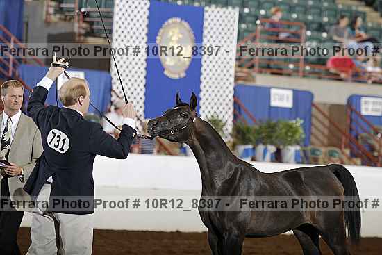 Proof Number 10r12_8397