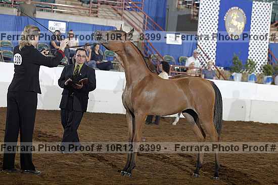 Proof Number 10r12_8399