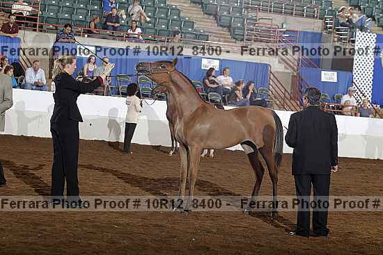 Proof Number 10r12_8400