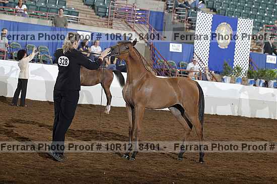 Proof Number 10r12_8401