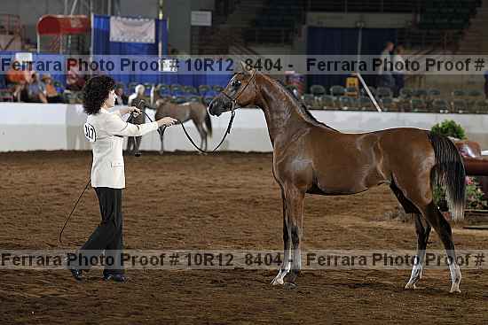 Proof Number 10r12_8404