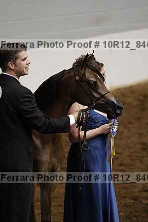 Proof Number 10r12_8406