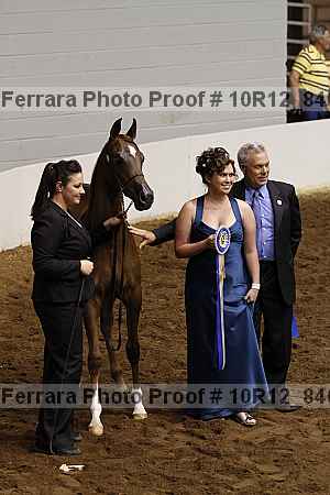 Proof Number 10r12_8407