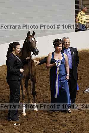 Proof Number 10r12_8408