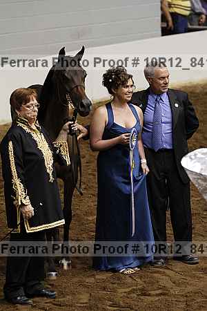 Proof Number 10r12_8412