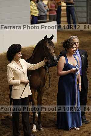 Proof Number 10r12_8416