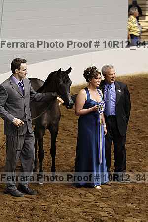 Proof Number 10r12_8420