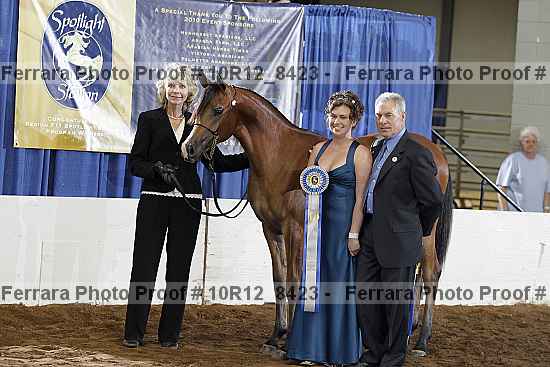 Proof Number 10r12_8423