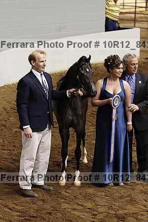 Proof Number 10r12_8428