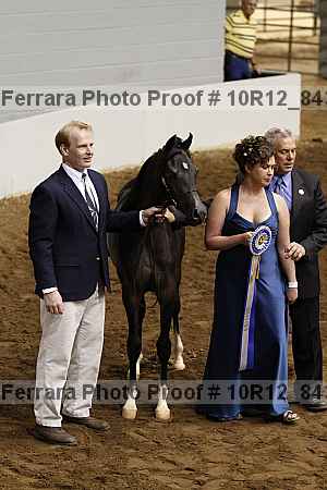 Proof Number 10r12_8430
