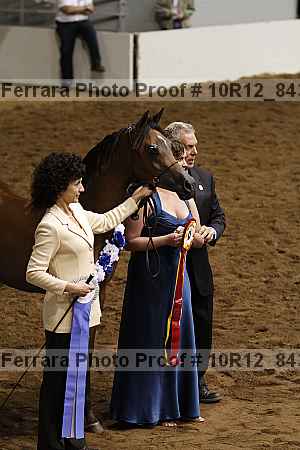 Proof Number 10r12_8431