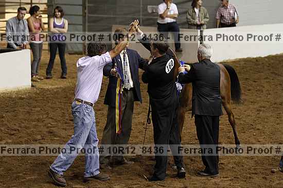 Proof Number 10r12_8436