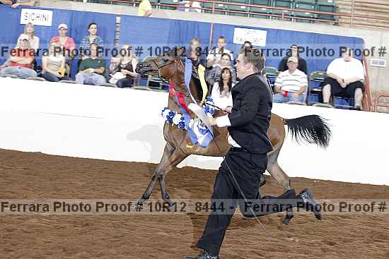 Proof Number 10r12_8444