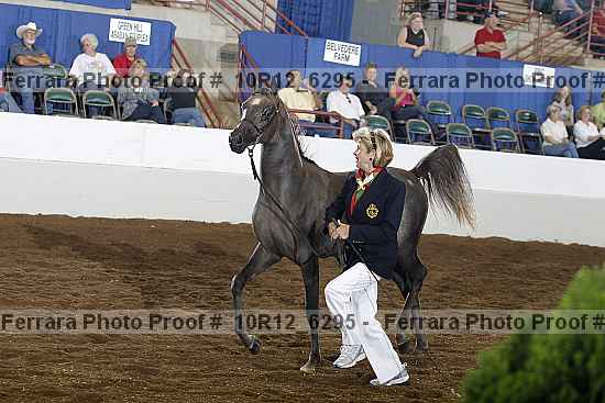 Proof Number 10r12_6295