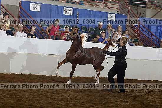 Proof Number 10r12_6304