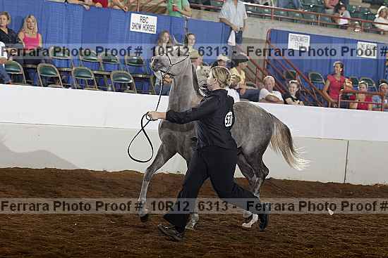 Proof Number 10r12_6313