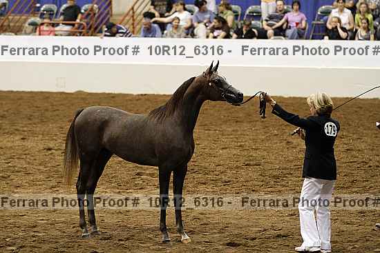 Proof Number 10r12_6316