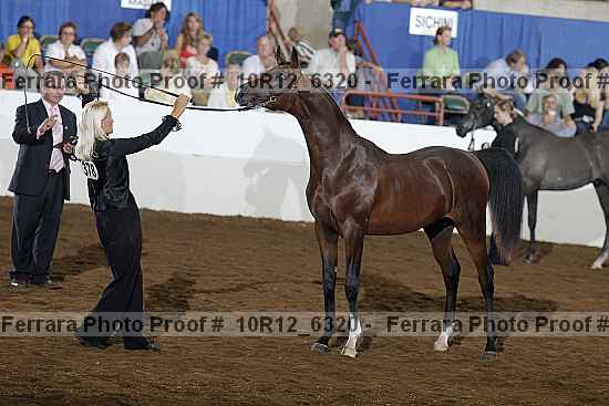 Proof Number 10r12_6320