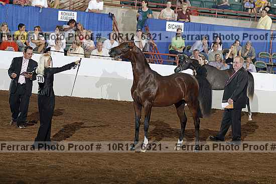 Proof Number 10r12_6321