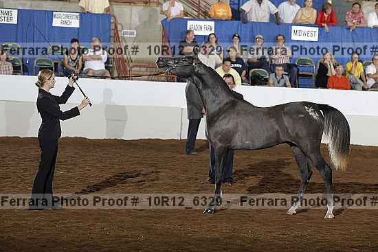 Proof Number 10r12_6329