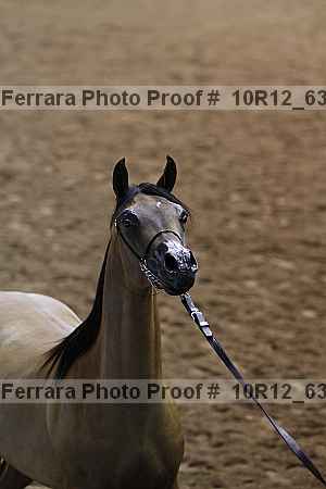 Proof Number 10r12_6334