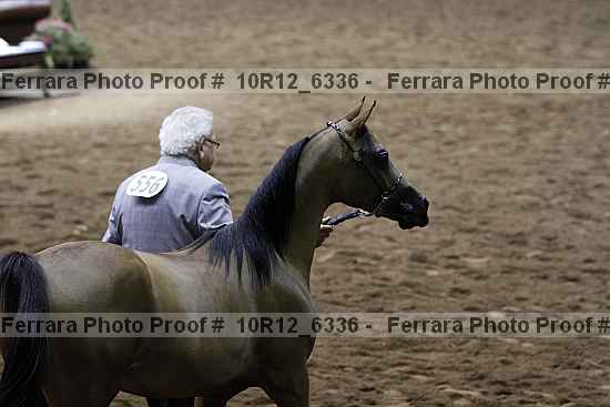 Proof Number 10r12_6336