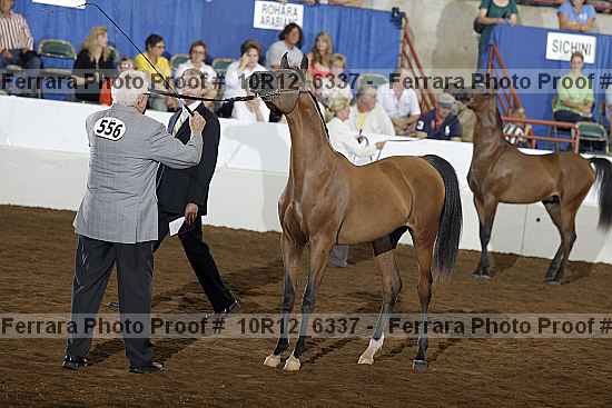 Proof Number 10r12_6337