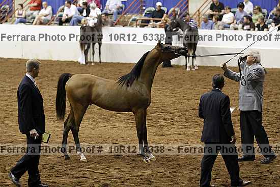Proof Number 10r12_6338