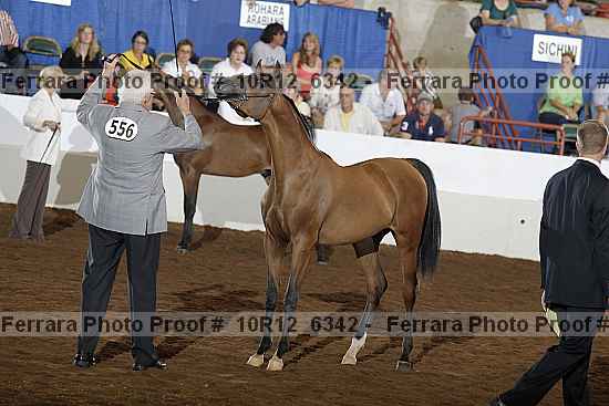 Proof Number 10r12_6342