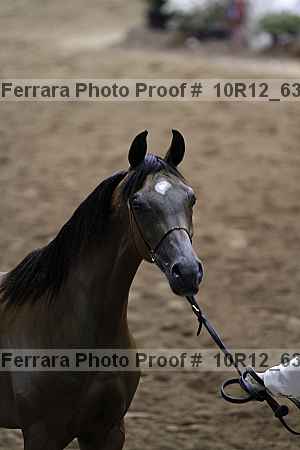 Proof Number 10r12_6343