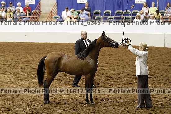 Proof Number 10r12_6345