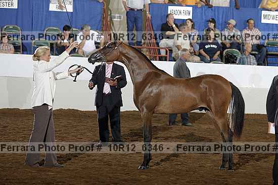 Proof Number 10r12_6346