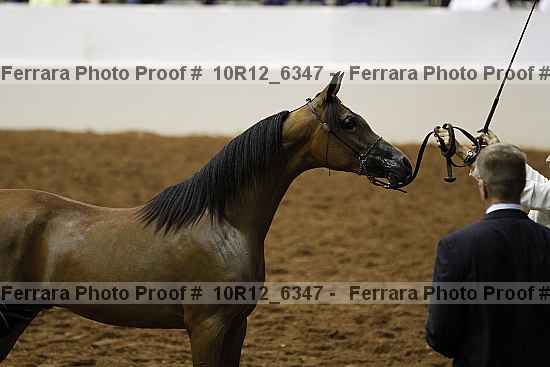 Proof Number 10r12_6347