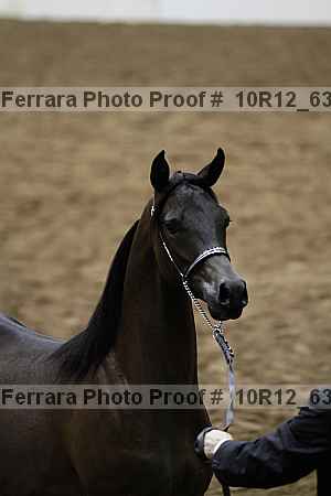 Proof Number 10r12_6348