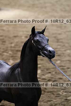 Proof Number 10r12_6350