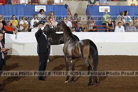 Proof Number 10r12_6351