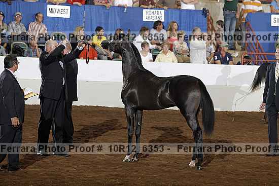 Proof Number 10r12_6353