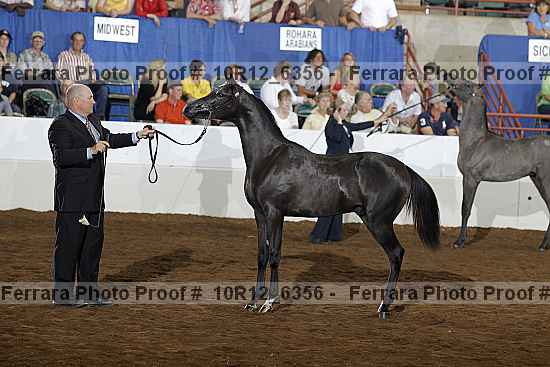 Proof Number 10r12_6356