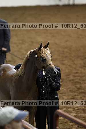 Proof Number 10r12_6357