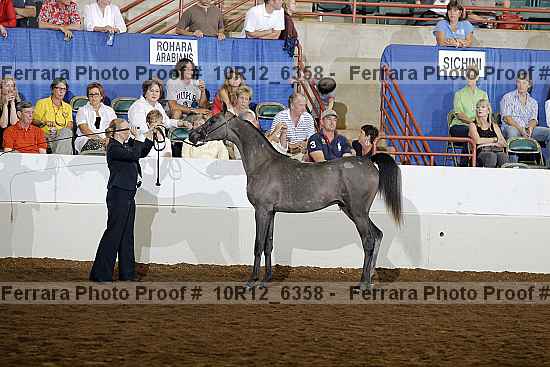 Proof Number 10r12_6358