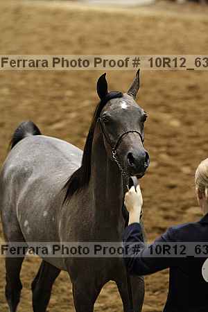 Proof Number 10r12_6359