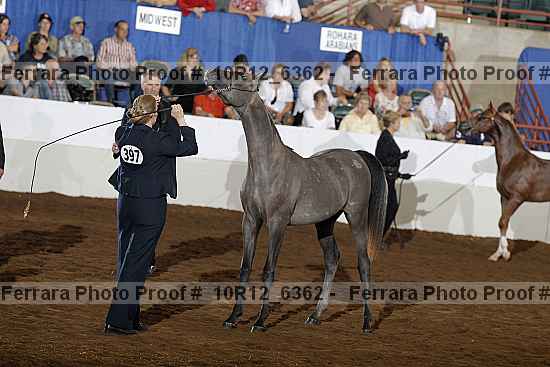 Proof Number 10r12_6362
