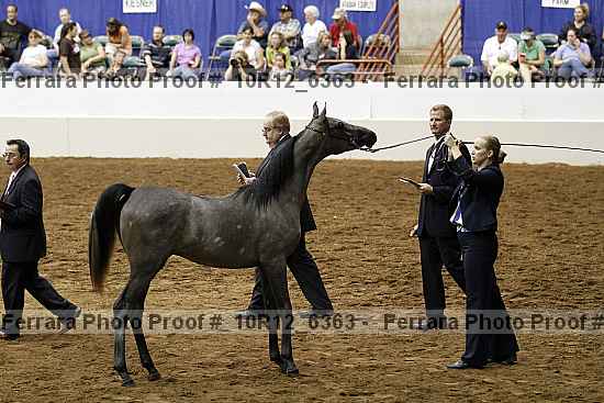 Proof Number 10r12_6363