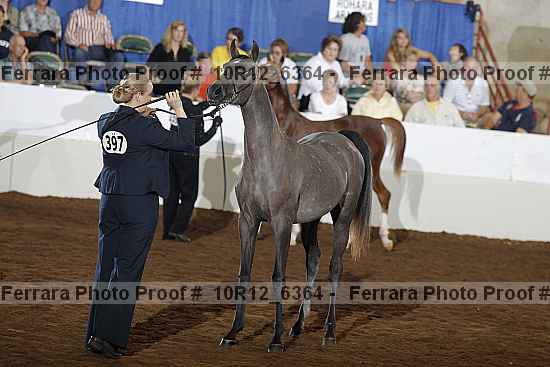 Proof Number 10r12_6364