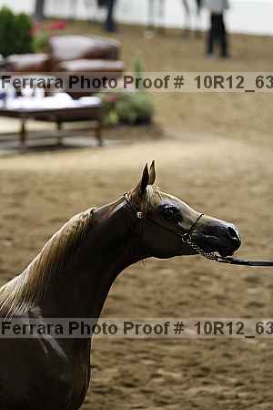 Proof Number 10r12_6366