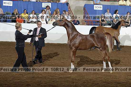 Proof Number 10r12_6369