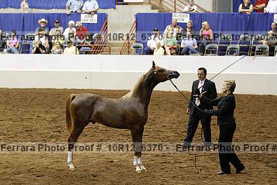 Proof Number 10r12_6370